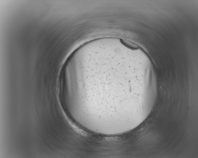 X0000059801523200511041613