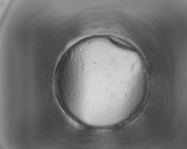 X0000059801525200511041613