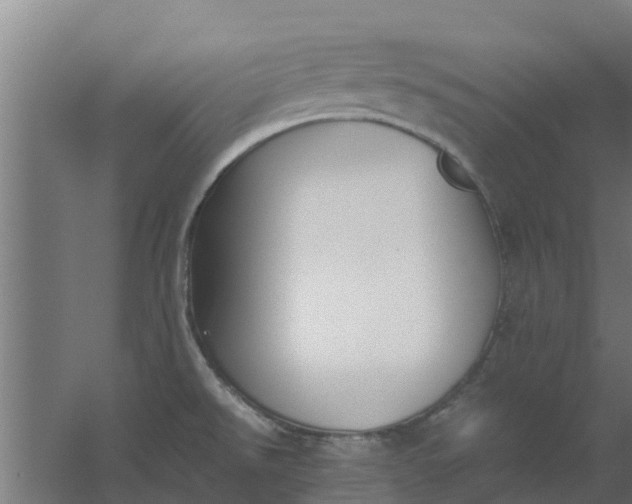 X0000059801526200511041613