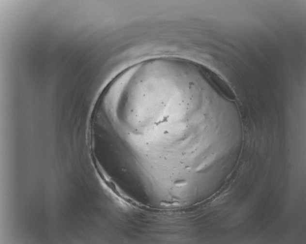 X0000059801527200511041613