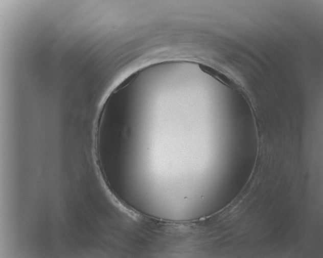 X0000059801528200511041613