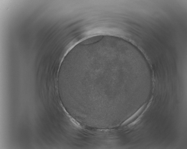 X0000059801529200511041614