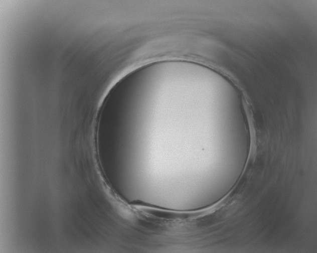 X0000059801530200511041614