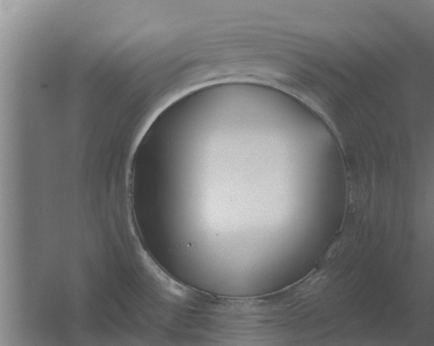 X0000059801532200511041614