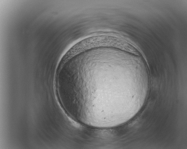 X0000059801533200511041614