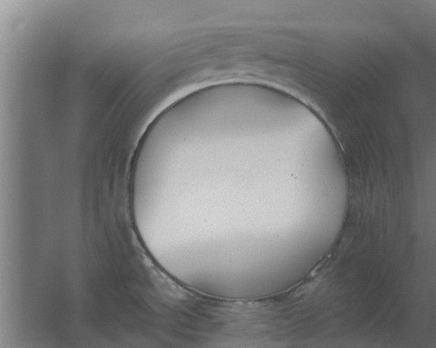 X0000059801534200511041614