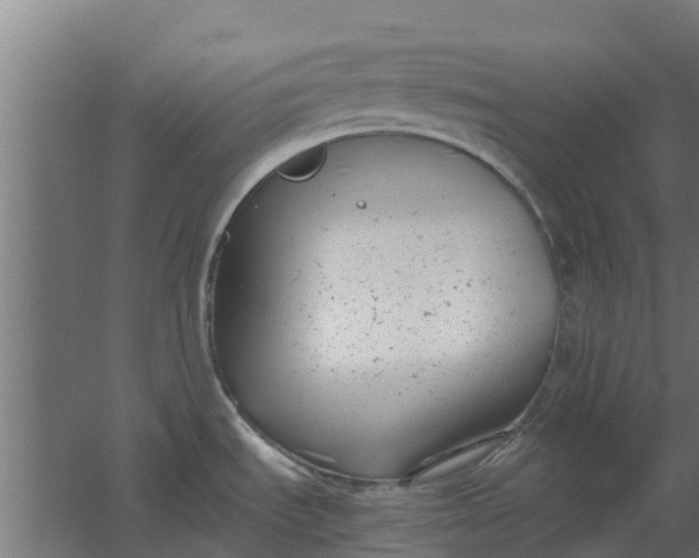 X0000059801535200511041614