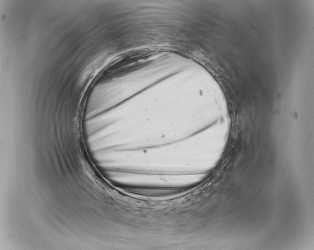 X0000059800002200511111613