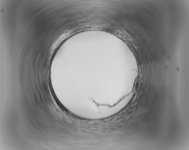 X0000059800003200511111613