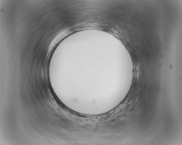 X0000059800004200511111613