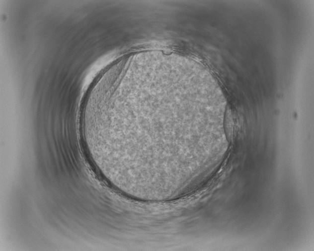 X0000059800006200511111613