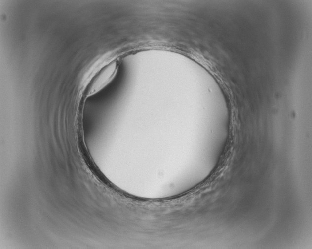 X0000059800007200511111613