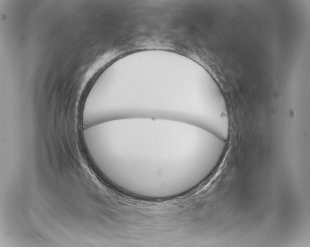 X0000059800008200511111613