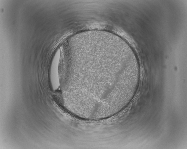 X0000059800009200511111613