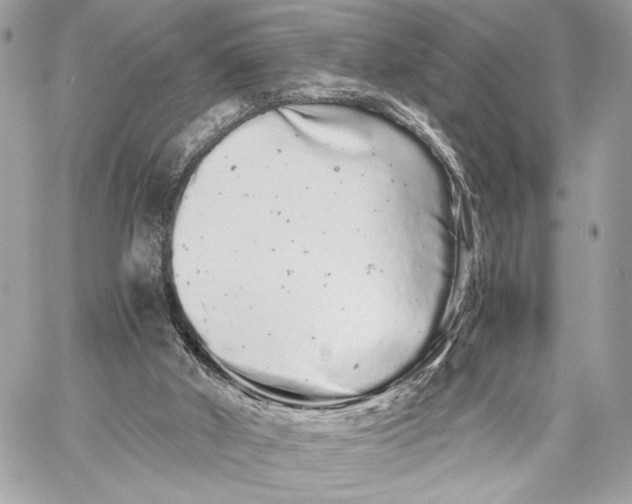 X0000059800010200511111613