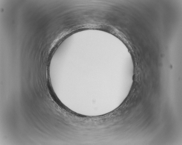 X0000059800011200511111613