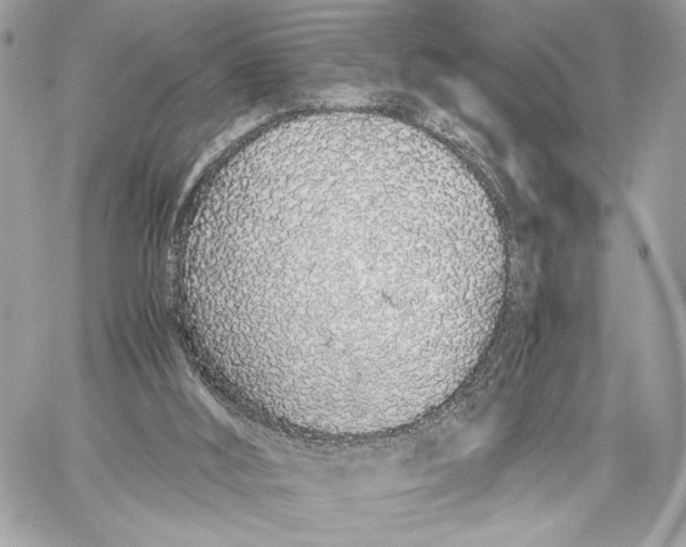 X0000059800012200511111613