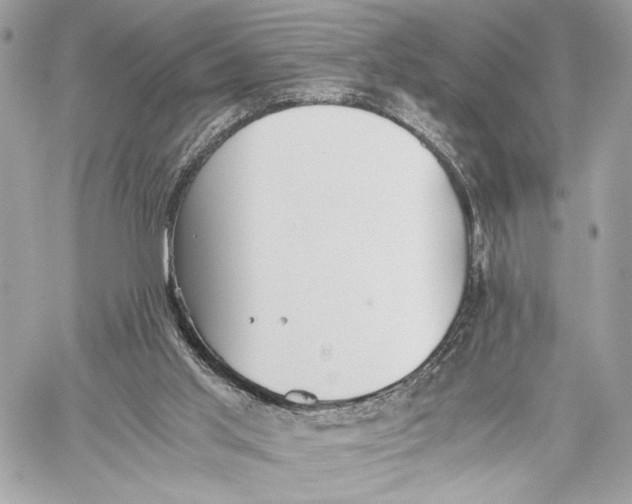 X0000059800013200511111613