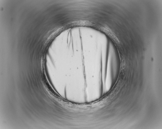 X0000059800014200511111613