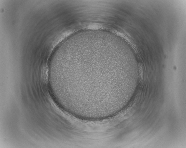 X0000059800016200511111613