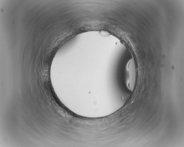 X0000059800017200511111613