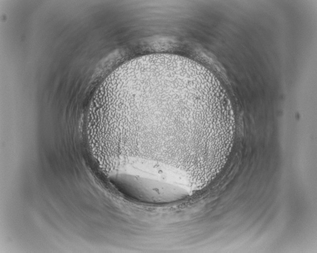 X0000059800018200511111613