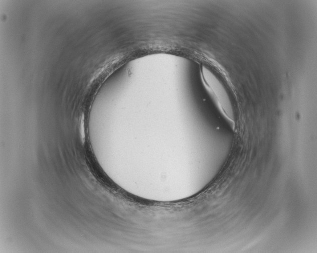 X0000059800020200511111613