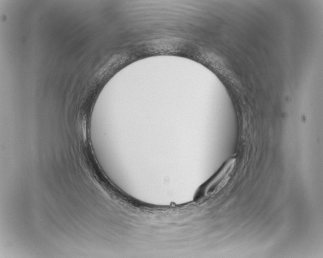 X0000059800021200511111613