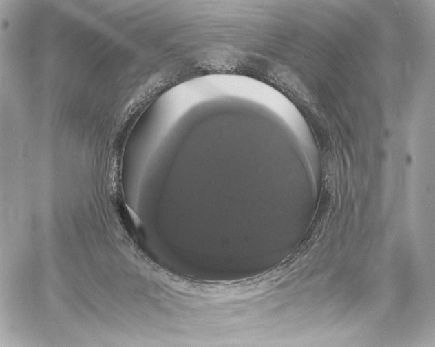 X0000059800023200511111613