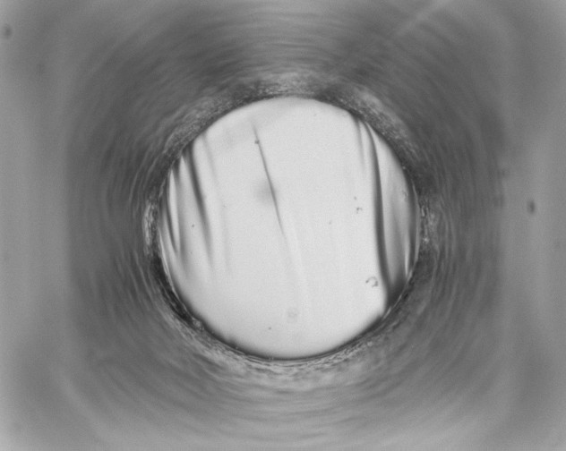 X0000059800026200511111612