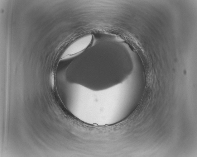 X0000059800027200511111612