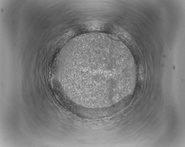 X0000059800029200511111612