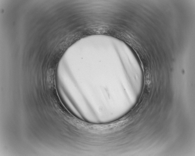 X0000059800030200511111612