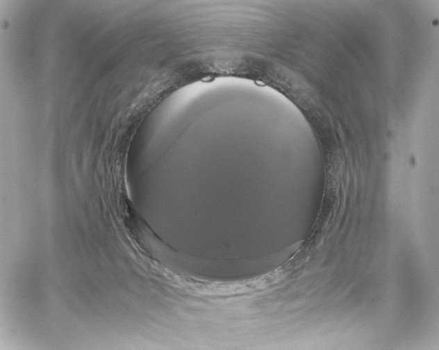 X0000059800031200511111612