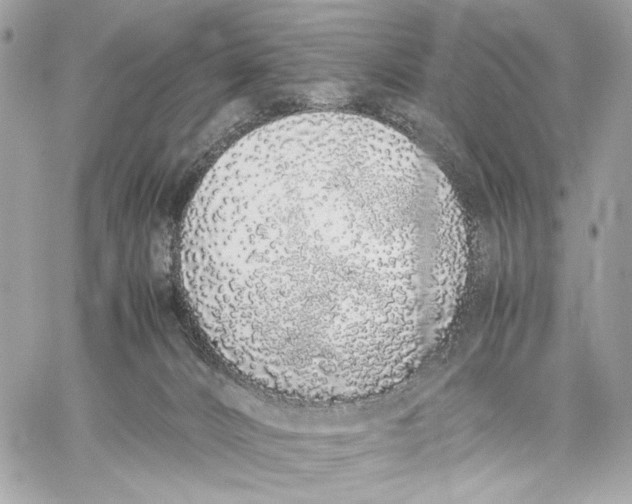 X0000059800032200511111612