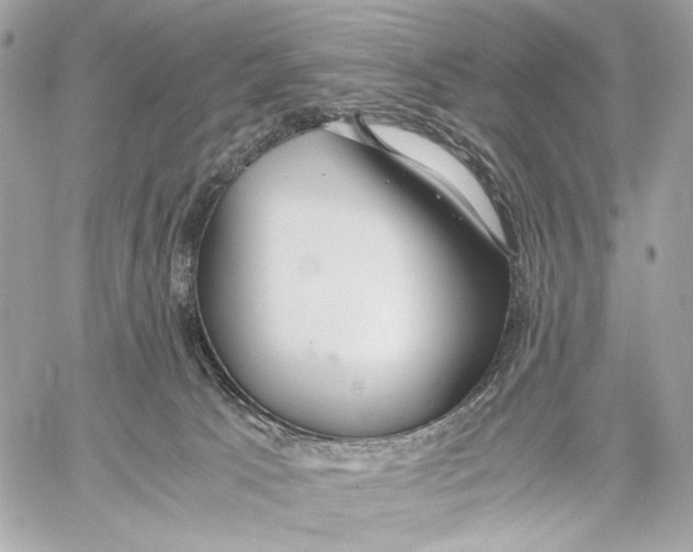 X0000059800033200511111612