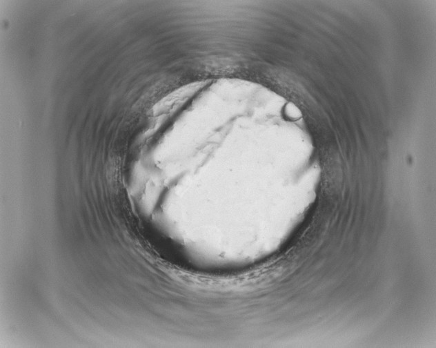 X0000059800034200511111612