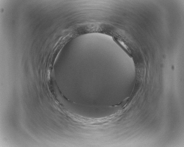 X0000059800035200511111612