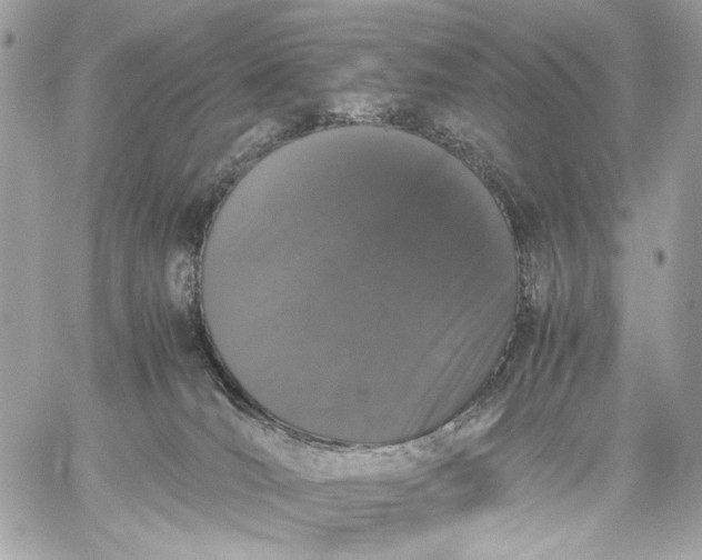 X0000059800036200511111612