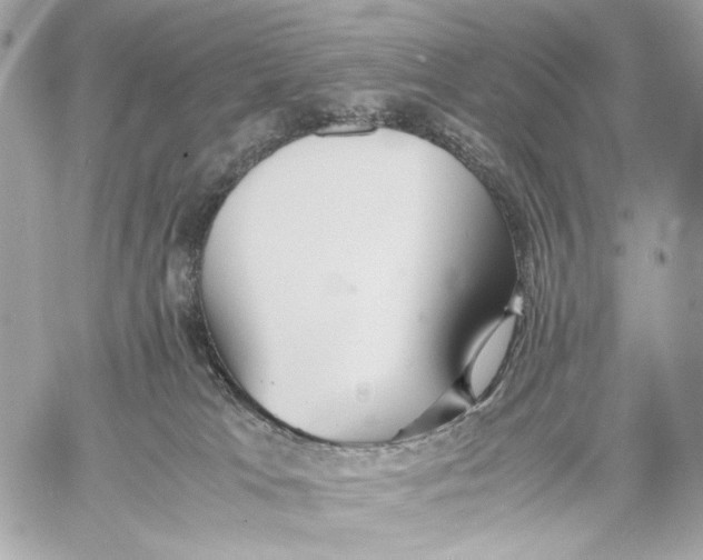 X0000059800037200511111612