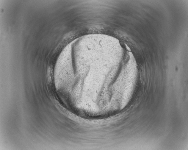 X0000059800038200511111612