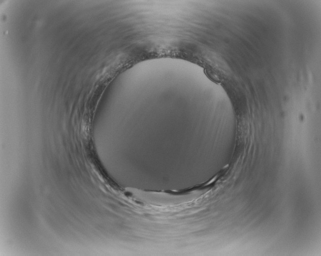 X0000059800039200511111612