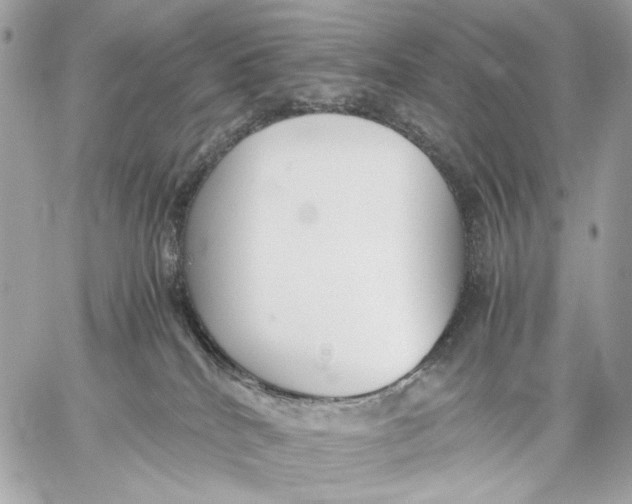 X0000059800040200511111612