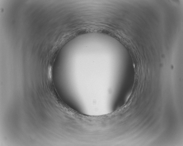 X0000059800041200511111612