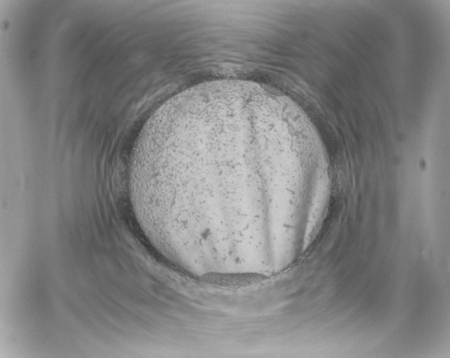 X0000059800043200511111612