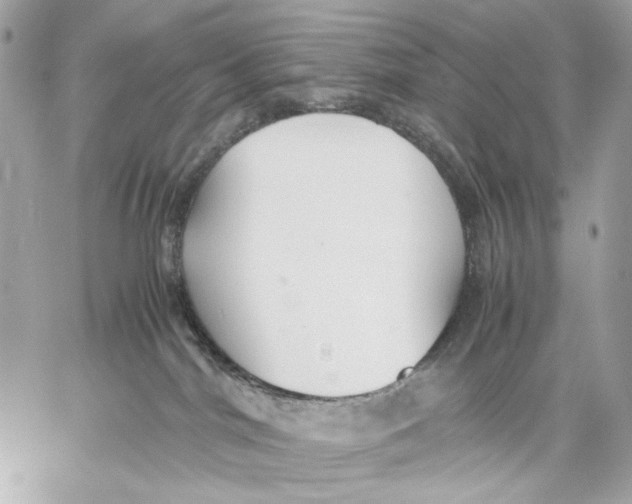 X0000059800044200511111612