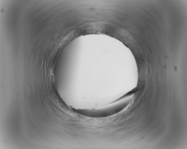 X0000059800045200511111612