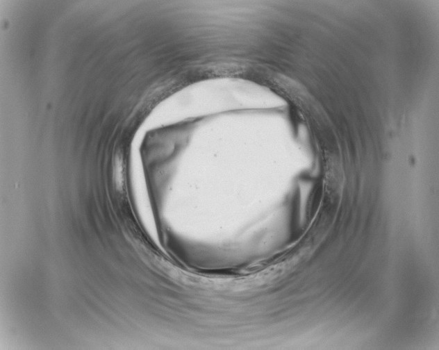 X0000059800046200511111612