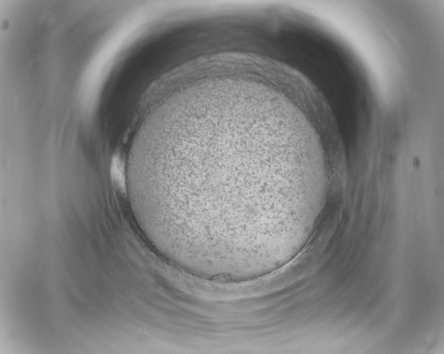 X0000059800047200511111612