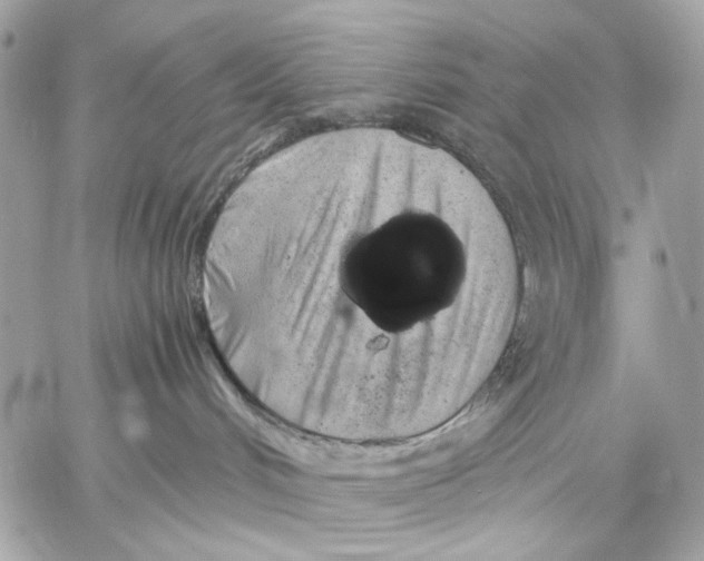 X0000059800048200511111612